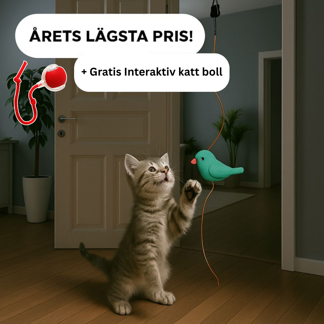 Lös din katts tristess på några sekunder